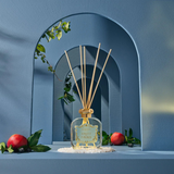 Room Fragrance Diffuser Angeli di Firenze