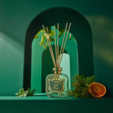 Room Fragrance Diffuser Pot Pourri