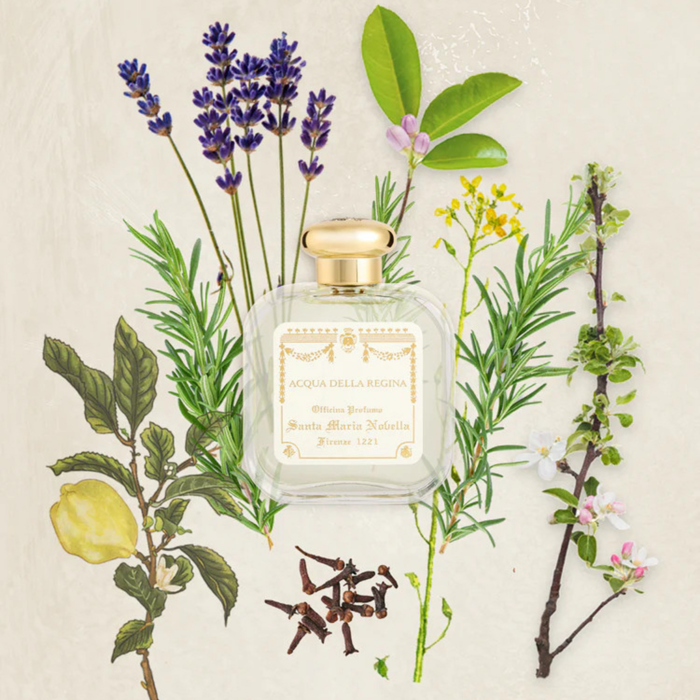 c*u様 OFFICINA DI S. MARIA NOVELLA Acqua Acqua Eau de Parfum - Santa Maria Novella
