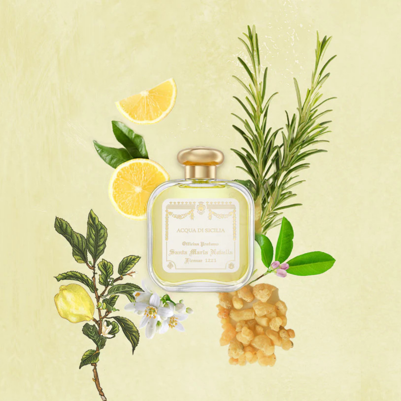 c*u様 OFFICINA DI S. MARIA NOVELLA Acqua Acquapdp4_1400x.png?v=1751512747