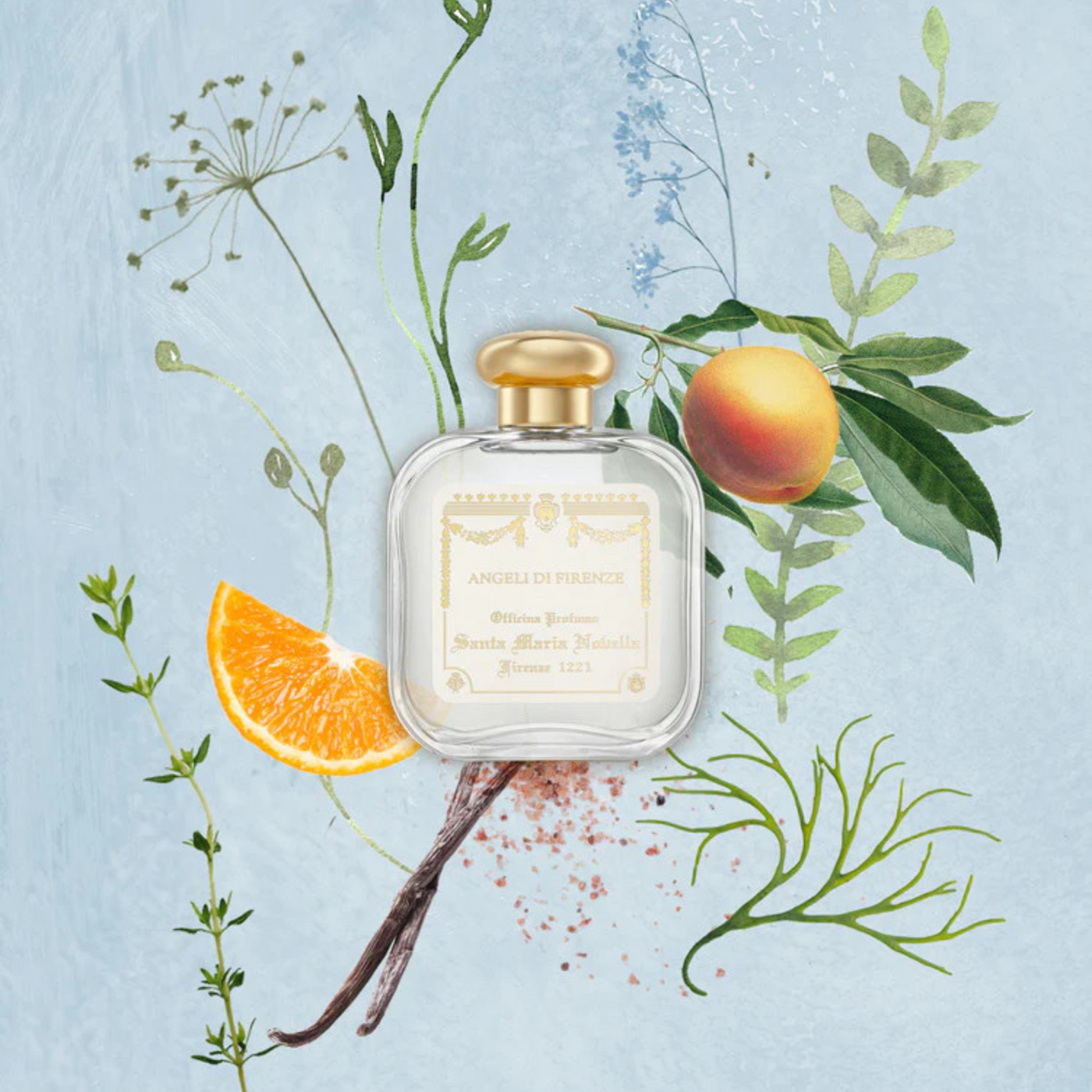 香水(女性用) Santa Maria NovellaANGELI DI FIRENZE50ml Angeli di Firenze: Eau de Cologne - Santa Maria Novella