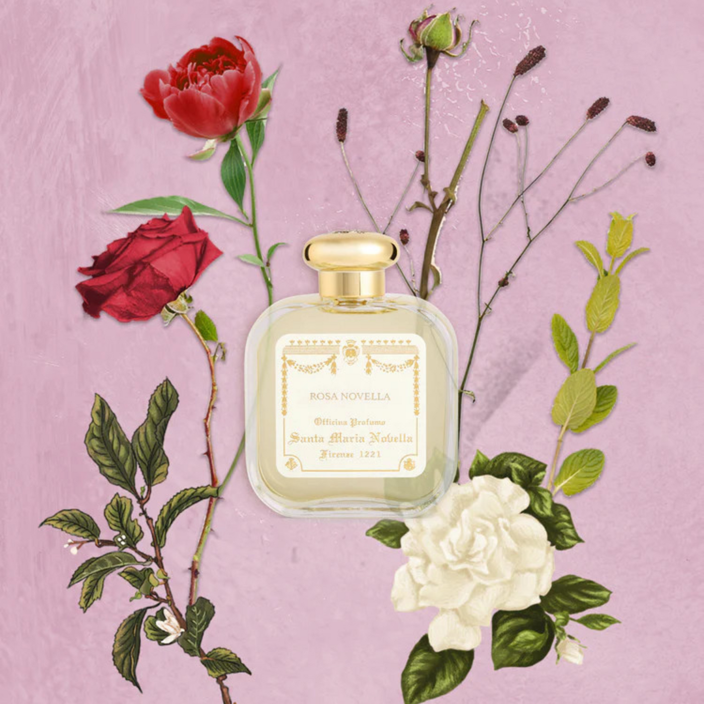 Rosa Novella Fragrances Officina Profumo Farmaceutica di