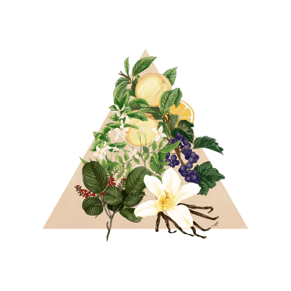 Angeli di Firenze Fragrances Officina Profumo Farmaceutica di